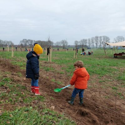 monty kinderen planten wijhe natuureducatie heg planten landschap
