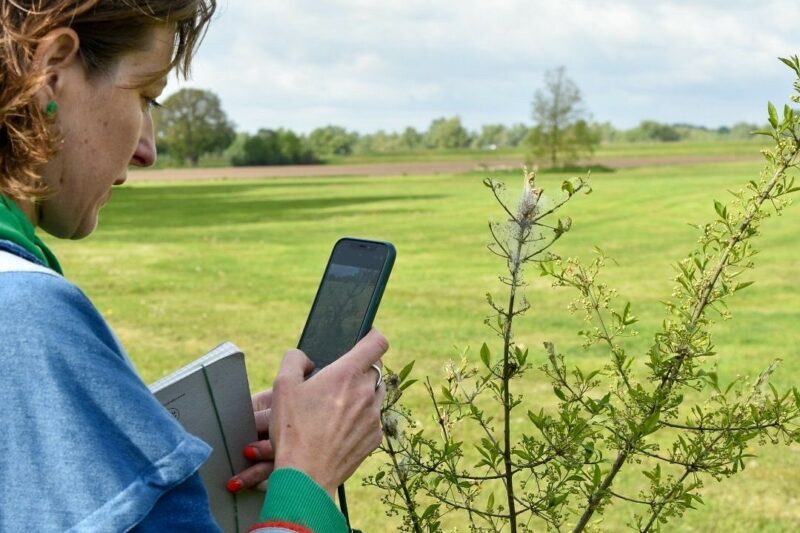 Jantine monitoren biodiversiteit flora fauna kardinaalsmuts mot