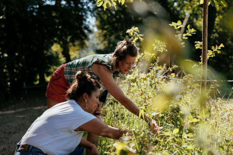 Groen adviseur Hoop heggen ecologie landschap advies service Bert Maes
